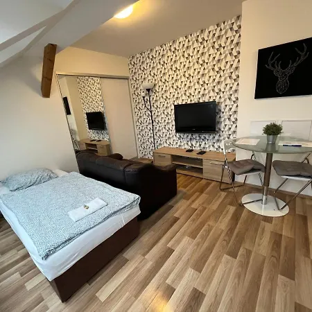 Apartment Skryjova *