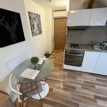 Skryjova Apartment