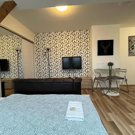 Apartament Skryjova Brno
