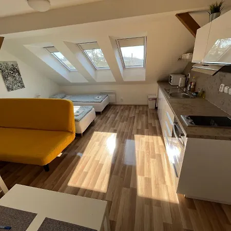 Apartment Skryjova Brno