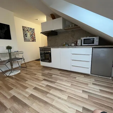 Apartament Skryjova *