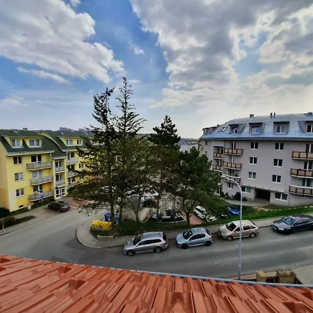 Апартаменты Skryjova