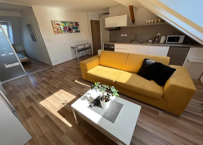 Apartament Skryjova *